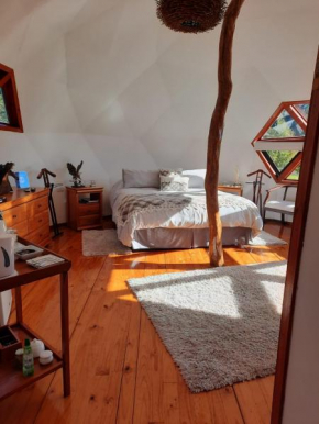 Domos Biosfera Volcánica B&B